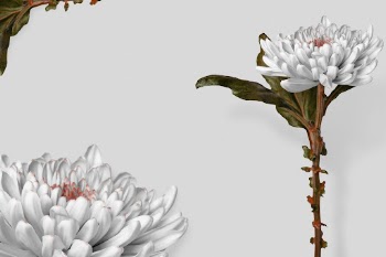 Greige flowers frame background, nature | Free Photo - rawpixel