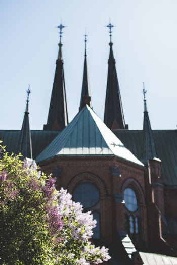 Grey and Brown Concrete Cathedral Beside White Flowering Plant