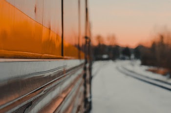 Grey and Orange Traine