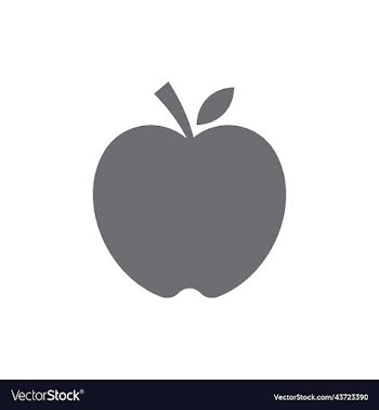 grey apple solid icon