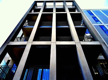 Grey Buildings