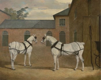 Grey carriage horses in the coachyard | Free Photo - rawpixel