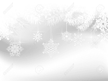 Grey Christmas Background With White Snowflakes And Needles ...
