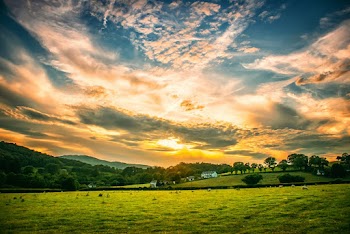 Grey Cloudy Sunset Sky over the Farm Field