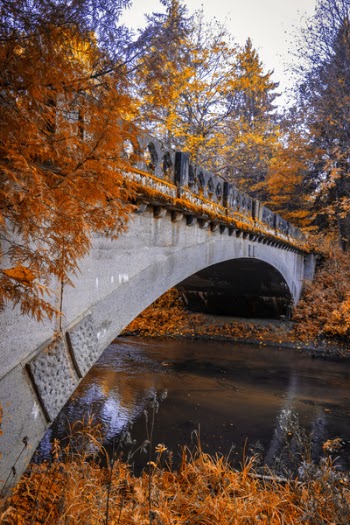 Grey Concrete Bridge Over River
