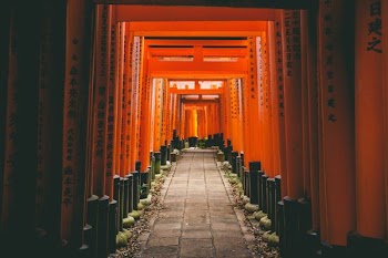 grey concrete pathway with orange walls