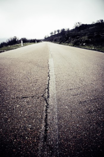 Grey Concrete Road Near Trees Above White Sky during Daytime