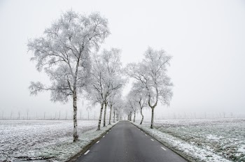 Grey Concrete Road Pathway
