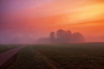 Grey Concrete Road Surrounded by Green Field and Fog
