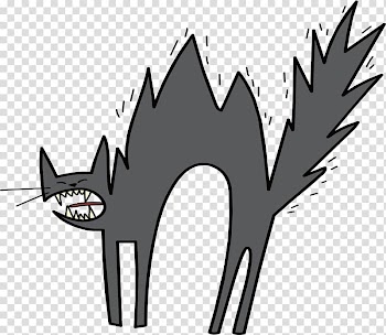 Grey fried cat transparent background PNG clipart