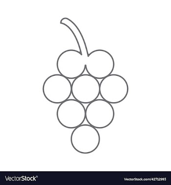 grey grapes line art icon