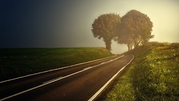 Grey Highway Near Trees