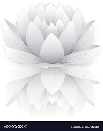 Grey lotus vector image