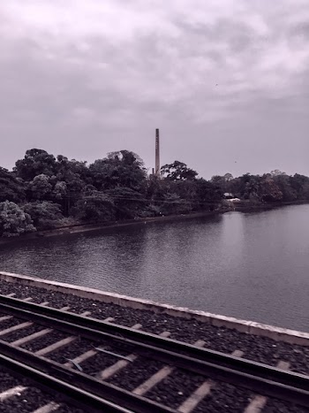 Grey Metal Train Railings Bear Body of Water