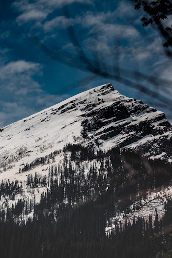 Grey Mountain