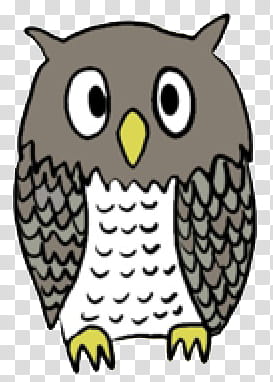 Grey owl ddrawing transparent background PNG clipart