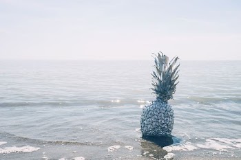 grey pineapple on sea during daytime