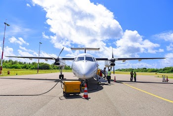 Grey Plane