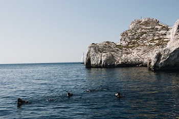 Grey Rock Formation