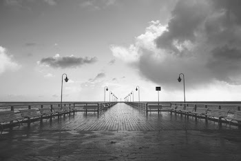 Grey Scale Photo of Birdge