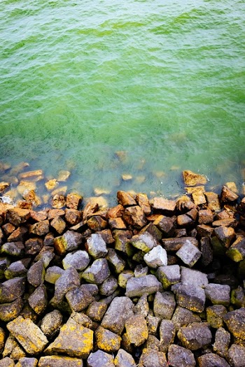 Grey Stones on Green Sea Water