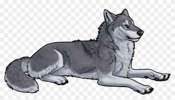 Grey Wolf - Grey Anime Wolf