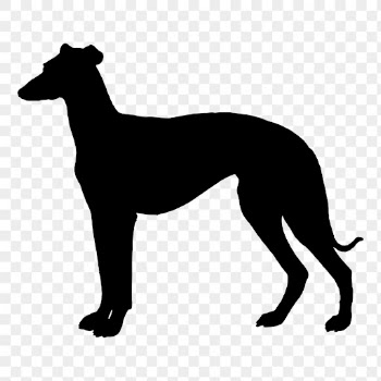 Greyhound dog png sticker animal | Free PNG - rawpixel