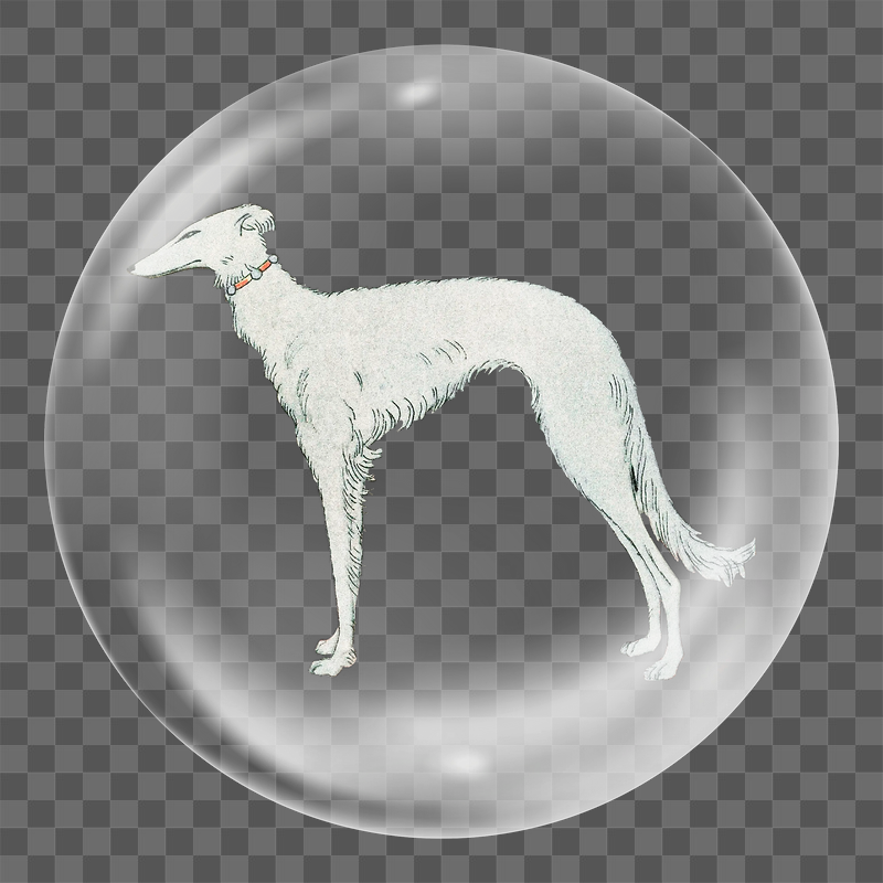 Greyhound dog png sticker bubble | Free PNG - rawpixel