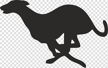 Greyhound Lines Italian Greyhound Spanish greyhound Whippet, Silhouette transparent background PNG clipart