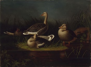 Greylag geese, copy after ferdinand | Free Photo - rawpixel