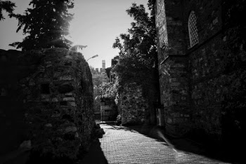 Greyscale Photo of Alley
