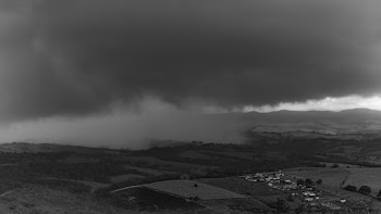 Greyscale Photo of Field