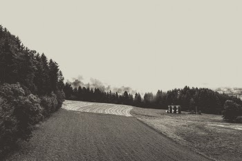 Greyscale Photo of Field at Daytime