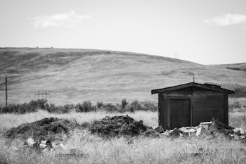 Greyscale Photography of Brown Shed Near Mountain