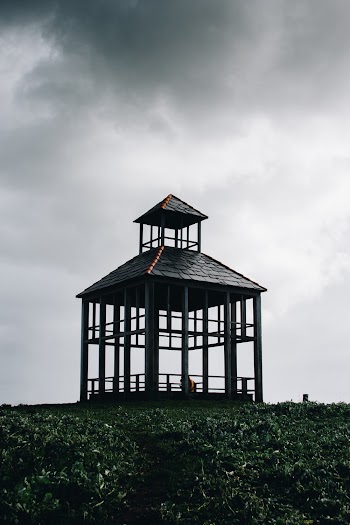 Greyscale Photography of Gazebo