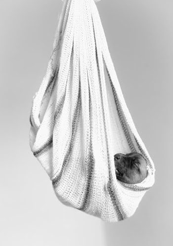 Greyscale Photography of Puppy on White Textile