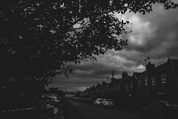 Greyscale Photography of Trees