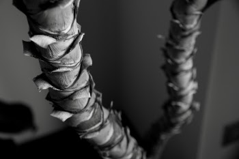Greyscale Photography of Two Plant Stems Inside Room