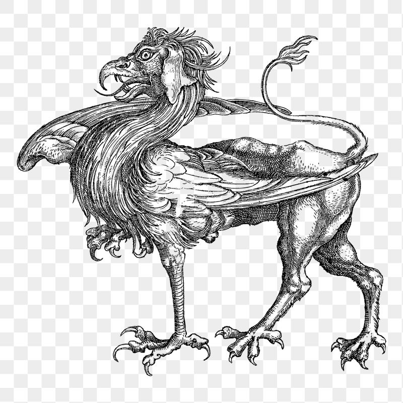 Griffin png sticker illustration, transparent | Free PNG - rawpixel