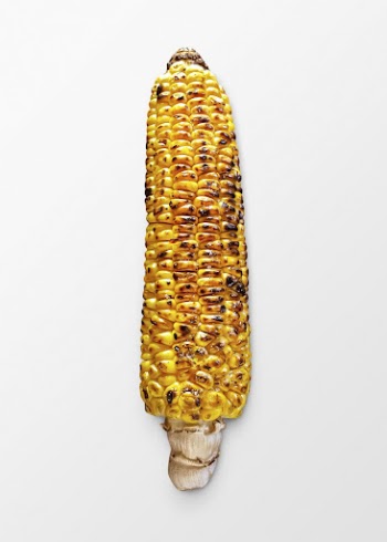 Grilled corn on white background, | Free Photo - rawpixel