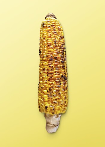 Grilled corn sticker, food photography | Free PSD - rawpixel