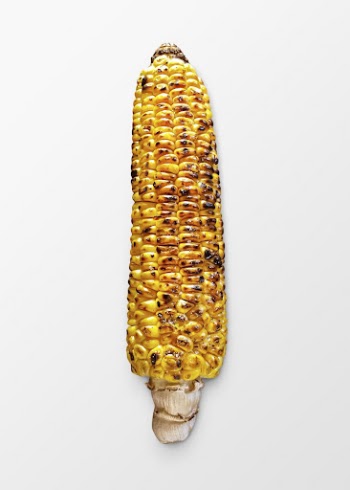 Grilled corn sticker, food photography | Free PSD - rawpixel