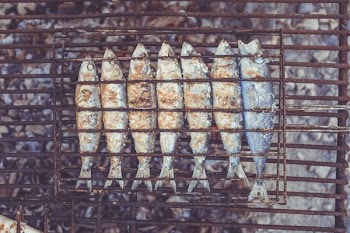 grilled fish on brown steel grill