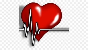 Gritman Medical Center: Emergency Room Heart Health Medicine - heart 