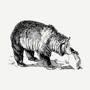 Grizzly bear drawing clipart, animal | Free PSD - rawpixel