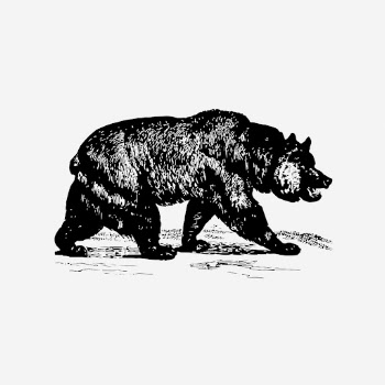 Grizzly bear drawing clipart, vintage | Free Photo - rawpixel