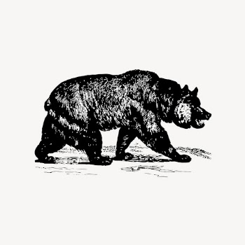 Grizzly bear drawing clipart, vintage | Free Vector - rawpixel