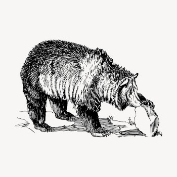 Grizzly bear hand drawn clipart, | Free Vector - rawpixel