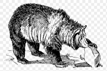 Grizzly bear png clipart, animal | Free PNG - rawpixel