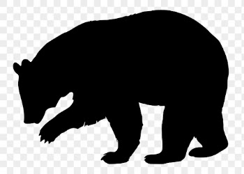 Grizzly bear png sticker animal | Free PNG - rawpixel